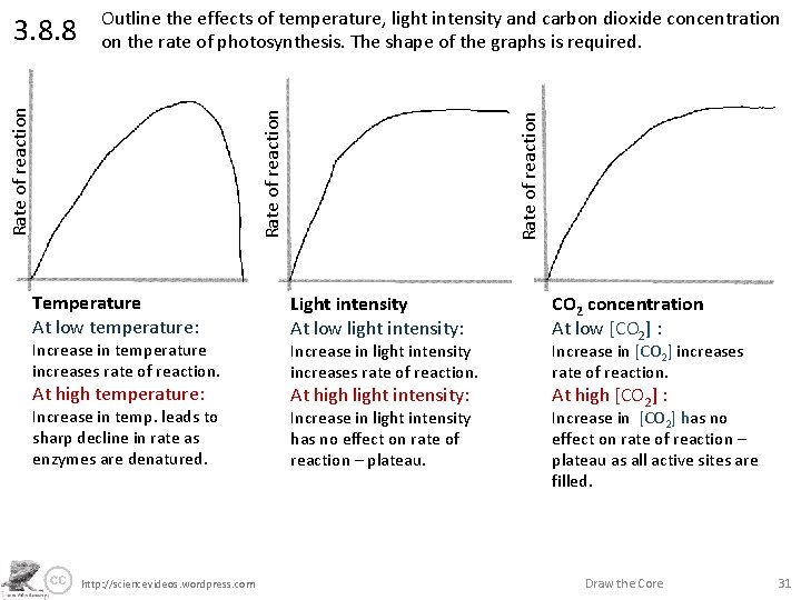 Outline the effects of temperature, light intensity and carbon dioxide concentration on the rate