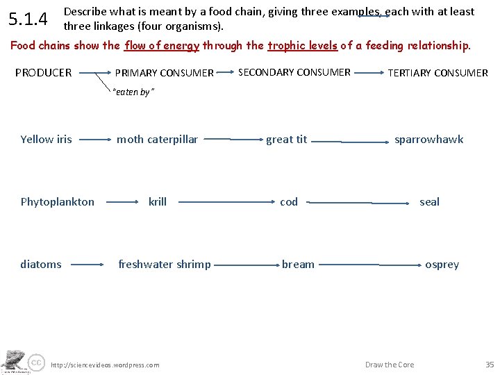 5. 1. 4 Describe what is meant by a food chain, giving three examples,