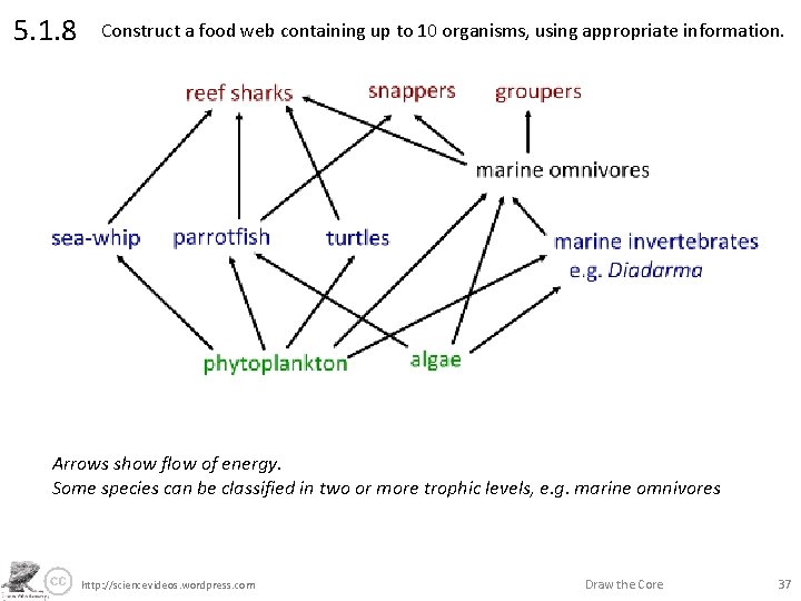 5. 1. 8 Construct a food web containing up to 10 organisms, using appropriate