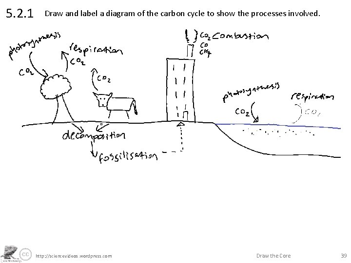 5. 2. 1 Draw and label a diagram of the carbon cycle to show