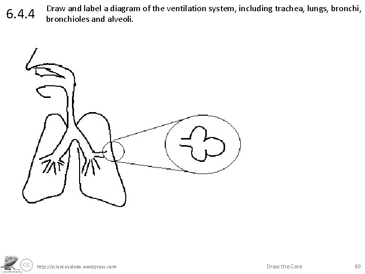 6. 4. 4 Draw and label a diagram of the ventilation system, including trachea,