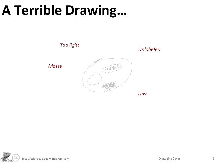 A Terrible Drawing… Too light Unlabeled Messy Tiny http: //sciencevideos. wordpress. com Draw the