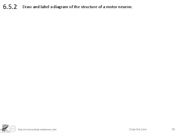 6. 5. 2 Draw and label a diagram of the structure of a motor