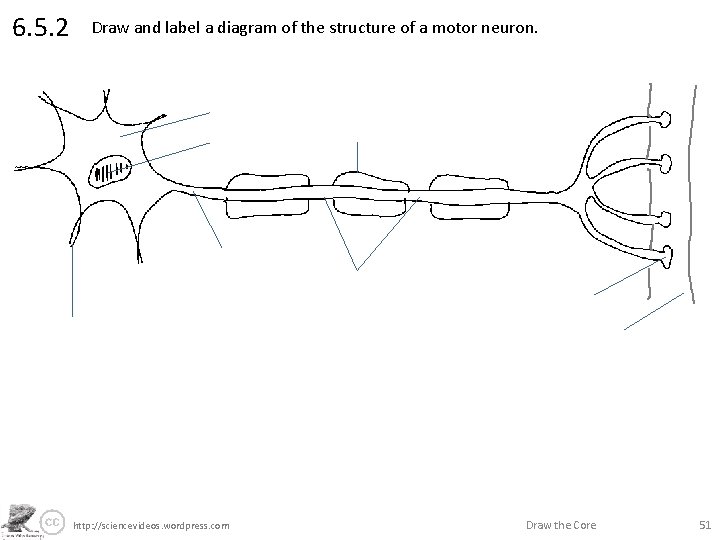 6. 5. 2 Draw and label a diagram of the structure of a motor