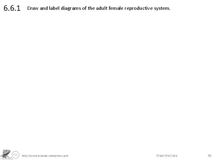 6. 6. 1 Draw and label diagrams of the adult female reproductive system. http:
