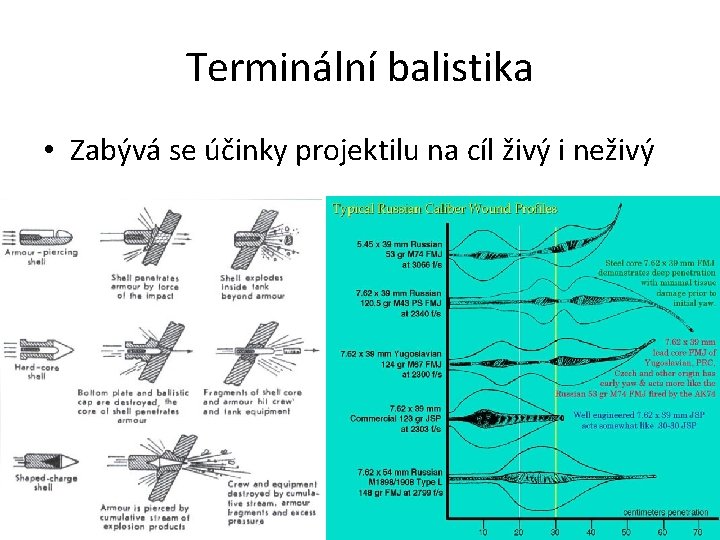 Terminální balistika • Zabývá se účinky projektilu na cíl živý i neživý 