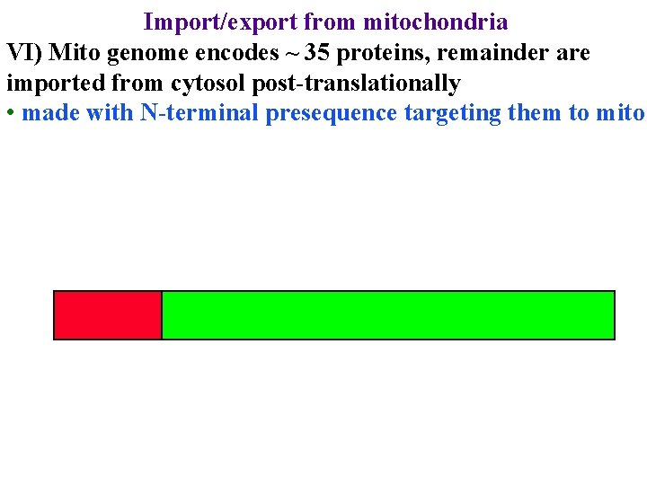 Import/export from mitochondria VI) Mito genome encodes ~ 35 proteins, remainder are imported from