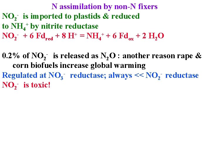 N assimilation by non-N fixers NO 2 - is imported to plastids & reduced