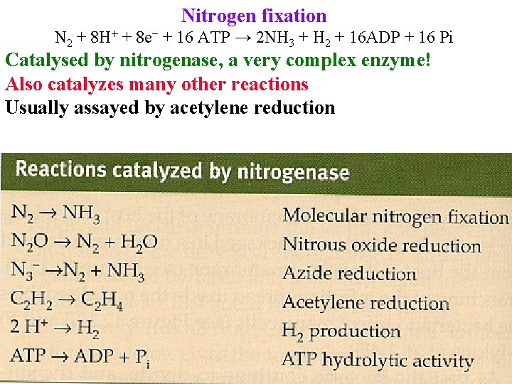 Nitrogen fixation N 2 + 8 H+ + 8 e− + 16 ATP →