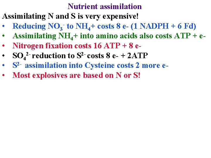 Nutrient assimilation Assimilating N and S is very expensive! • Reducing NO 3 -