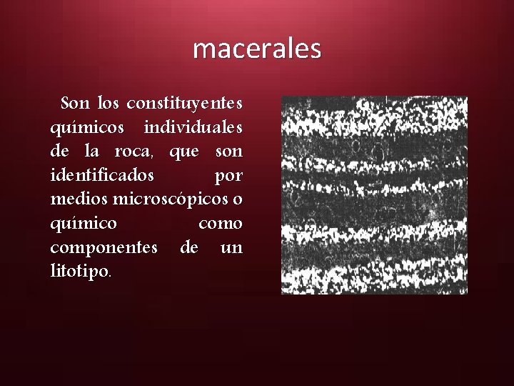 macerales Son los constituyentes químicos individuales de la roca, que son identificados por medios
