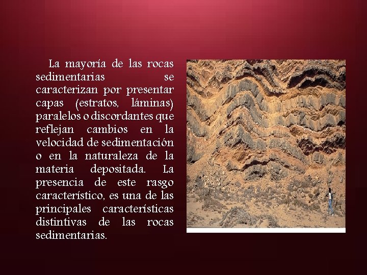 La mayoría de las rocas sedimentarias se caracterizan por presentar capas (estratos, láminas) paralelos