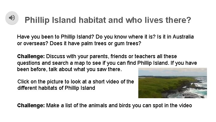 Phillip Island habitat and who lives there? Have you been to Phillip Island? Do