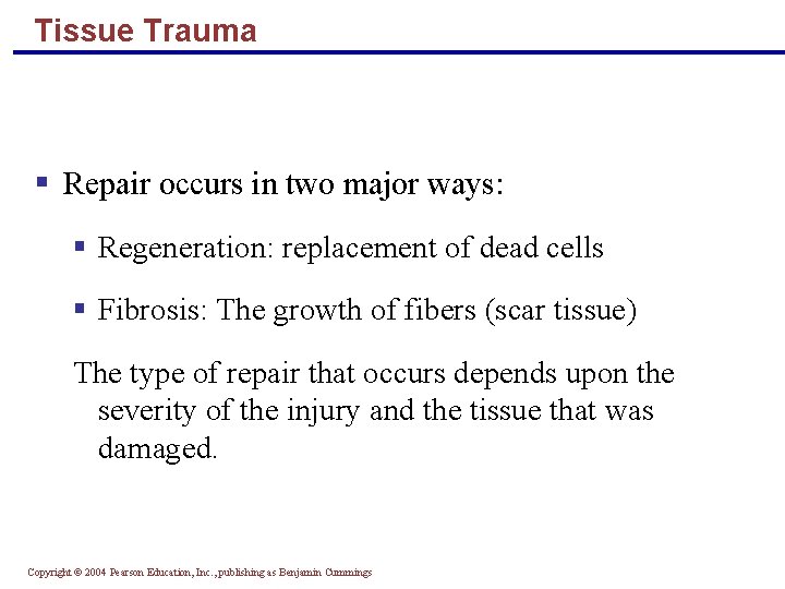 Tissue Trauma § Repair occurs in two major ways: § Regeneration: replacement of dead