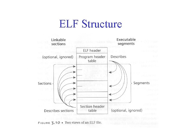 ELF Structure segments 