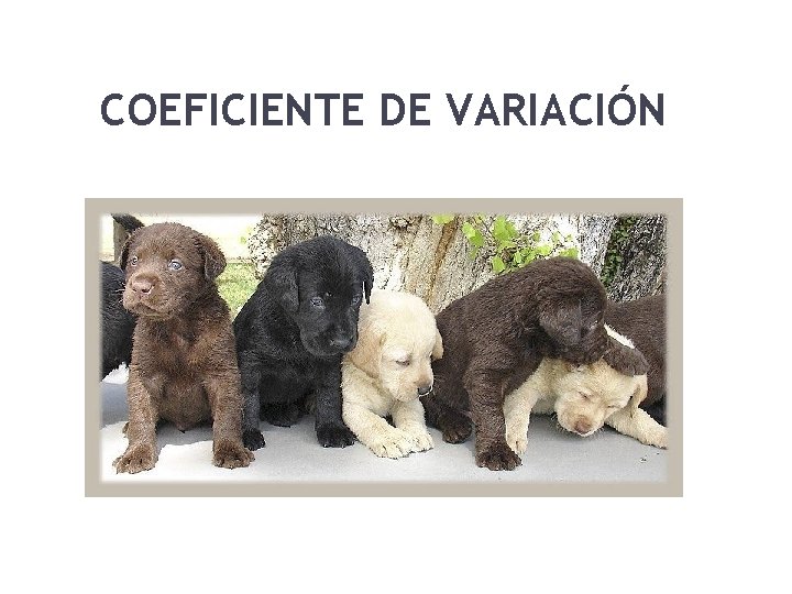 COEFICIENTE DE VARIACIÓN 