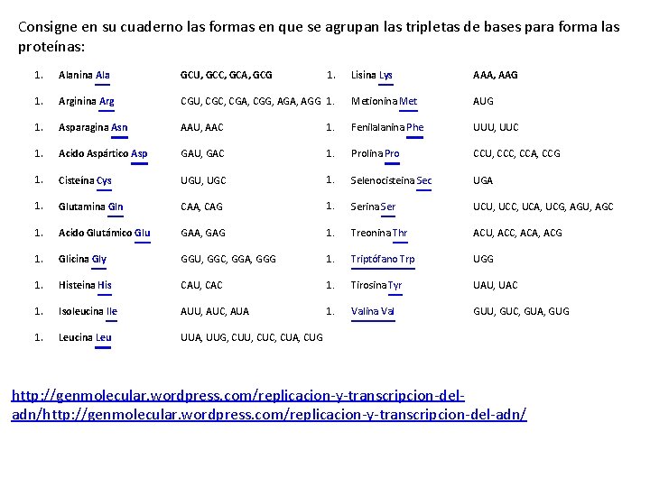 Consigne en su cuaderno las formas en que se agrupan las tripletas de bases