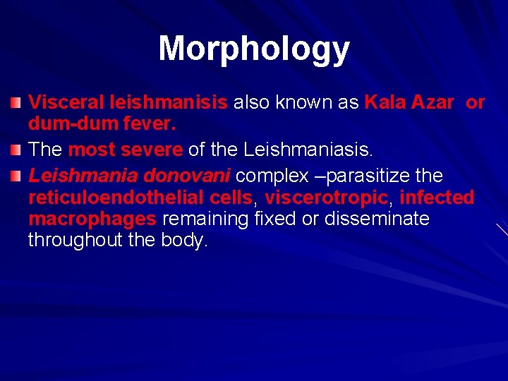 Morphology Visceral leishmanisis also known as Kala Azar or dum-dum fever. The most severe