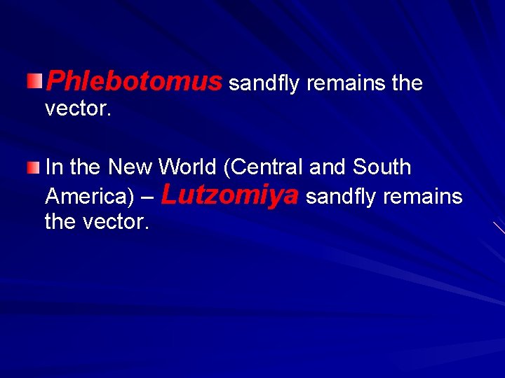 Phlebotomus sandfly remains the vector. In the New World (Central and South America) –