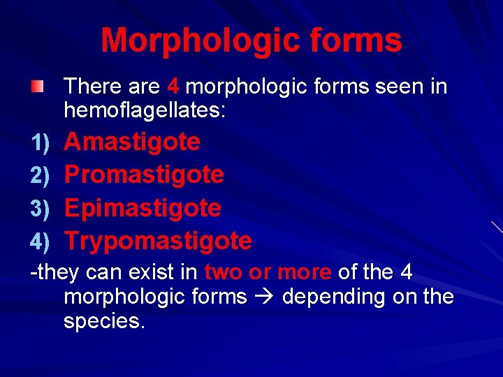 Morphologic forms There are 4 morphologic forms seen in hemoflagellates: 1) Amastigote 2) Promastigote