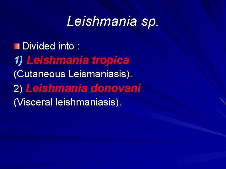 Leishmania sp. Divided into : 1) Leishmania tropica (Cutaneous Leismaniasis). 2) Leishmania donovani (Visceral