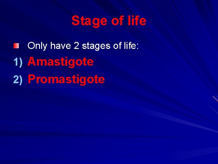Stage of life Only have 2 stages of life: 1) Amastigote 2) Promastigote 