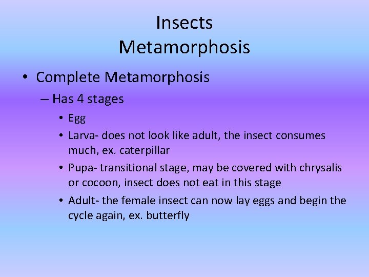 Insects Metamorphosis • Complete Metamorphosis – Has 4 stages • Egg • Larva- does Insects Metamorphosis • Complete Metamorphosis – Has 4 stages • Egg • Larva- does