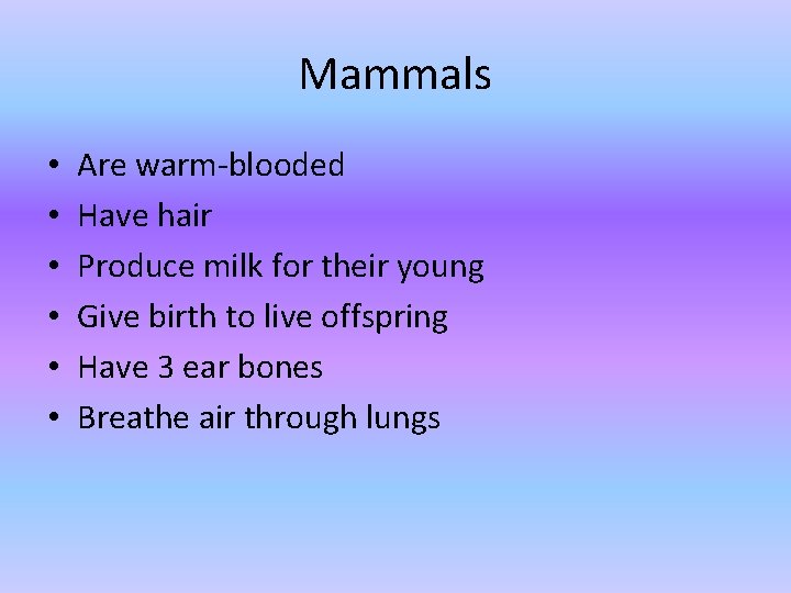 Mammals • • • Are warm-blooded Have hair Produce milk for their young Give Mammals • • • Are warm-blooded Have hair Produce milk for their young Give