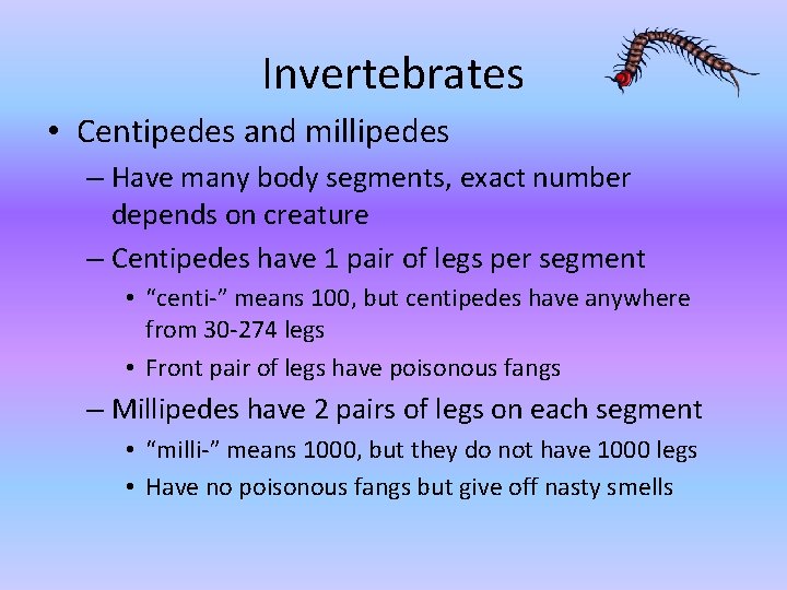 Invertebrates • Centipedes and millipedes – Have many body segments, exact number depends on Invertebrates • Centipedes and millipedes – Have many body segments, exact number depends on