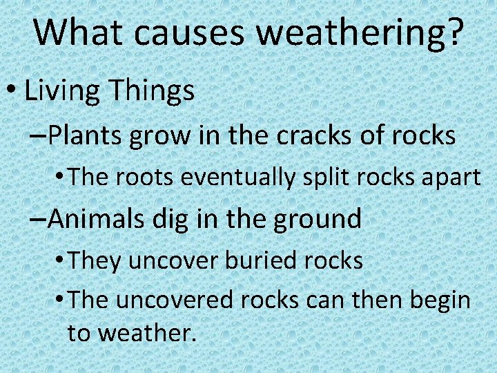 What causes weathering? • Living Things –Plants grow in the cracks of rocks •