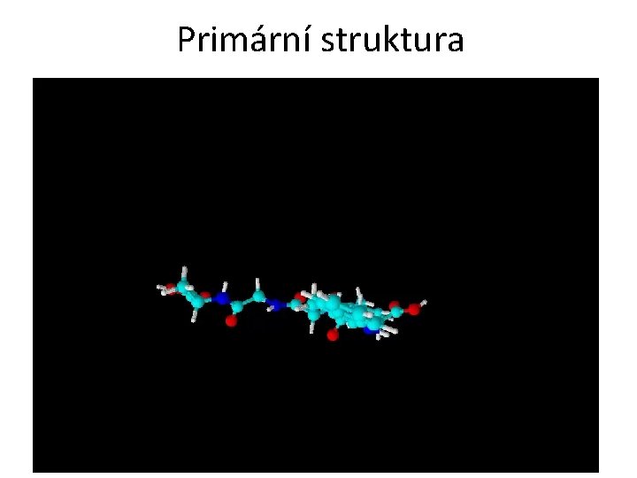 Primární struktura 