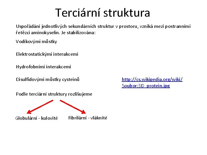 Terciární struktura Uspořádání jednotlivých sekundárních struktur v prostoru, vzniká mezi postranními řetězci aminokyselin. Je