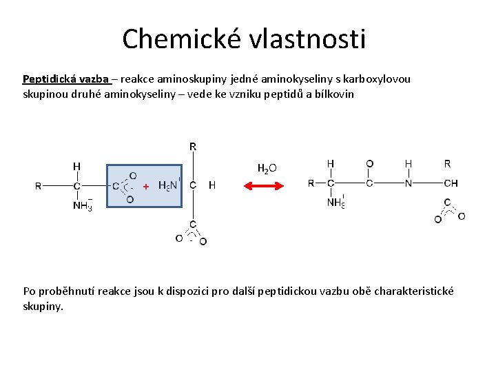 Chemické vlastnosti Peptidická vazba – reakce aminoskupiny jedné aminokyseliny s karboxylovou skupinou druhé aminokyseliny