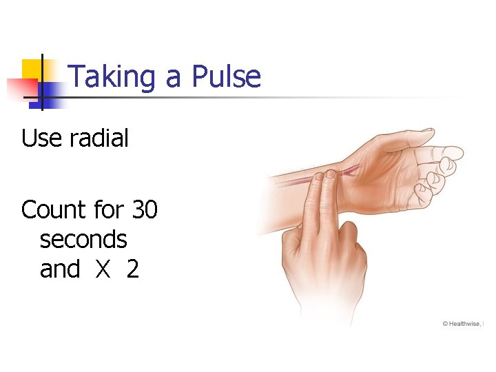 Taking a Pulse Use radial Count for 30 seconds and X 2 