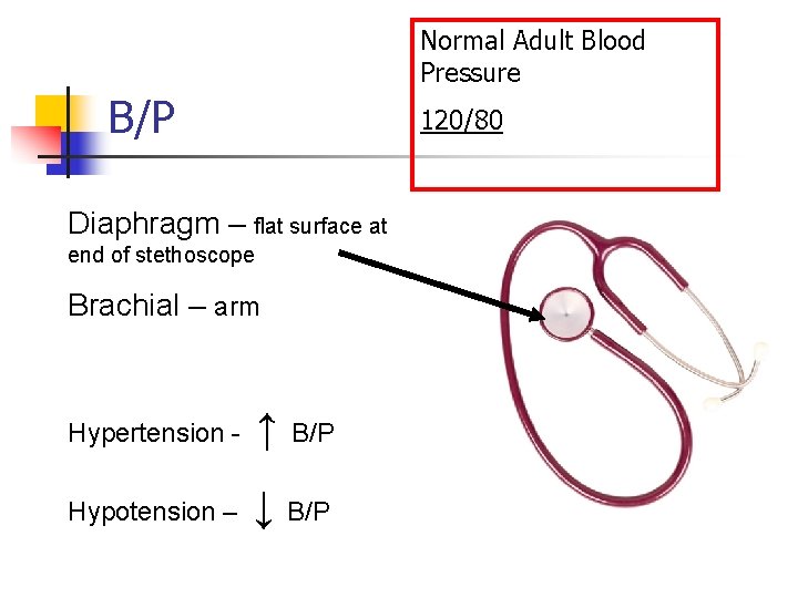 Normal Adult Blood Pressure B/P 120/80 Diaphragm – flat surface at end of stethoscope