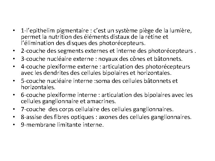 • 1 -l’epithelim pigmentaire : c’est un système piège de la lumière, permet • 1 -l’epithelim pigmentaire : c’est un système piège de la lumière, permet