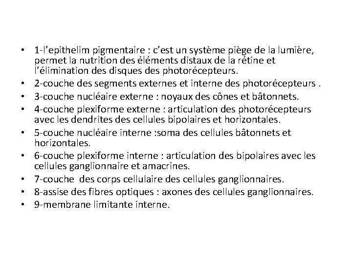  • 1 -l’epithelim pigmentaire : c’est un système piège de la lumière, permet