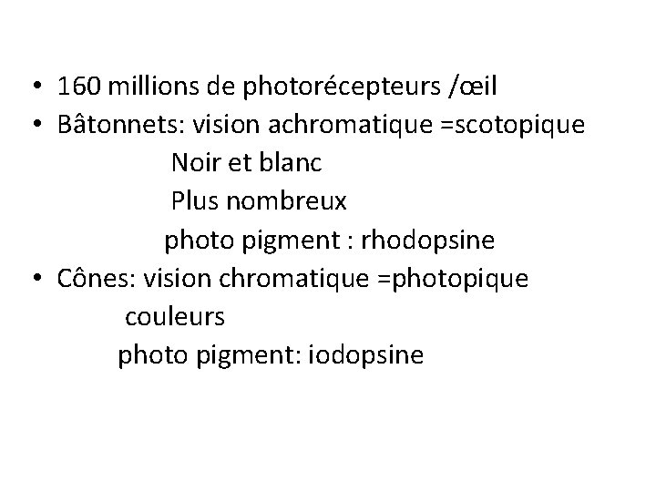  • 160 millions de photorécepteurs /œil • Bâtonnets: vision achromatique =scotopique Noir et
