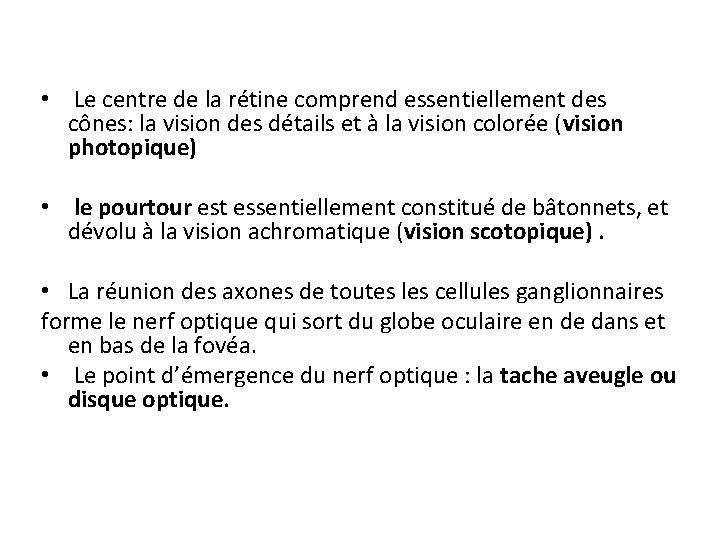 • Le centre de la rétine comprend essentiellement des cônes: la vision des • Le centre de la rétine comprend essentiellement des cônes: la vision des