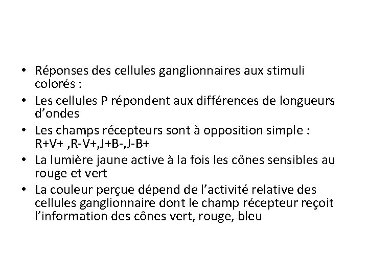  • Réponses des cellules ganglionnaires aux stimuli colorés : • Les cellules P