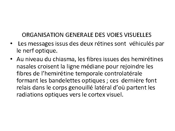  ORGANISATION GENERALE DES VOIES VISUELLES • Les messages issus deux rétines sont véhiculés