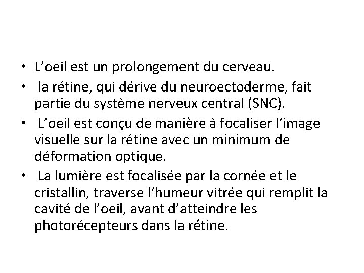  • L’oeil est un prolongement du cerveau. • la rétine, qui dérive du