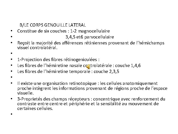 B/LE CORPS GENOUILLE LATERAL • Constitue de six couches : 1 -2 magnocellulaire B/LE CORPS GENOUILLE LATERAL • Constitue de six couches : 1 -2 magnocellulaire