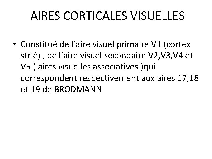  AIRES CORTICALES VISUELLES • Constitué de l’aire visuel primaire V 1 (cortex strié)