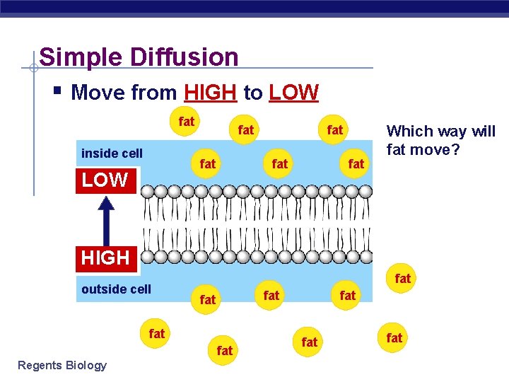 Simple Diffusion § Move from HIGH to LOW fat inside cell fat LOW fat