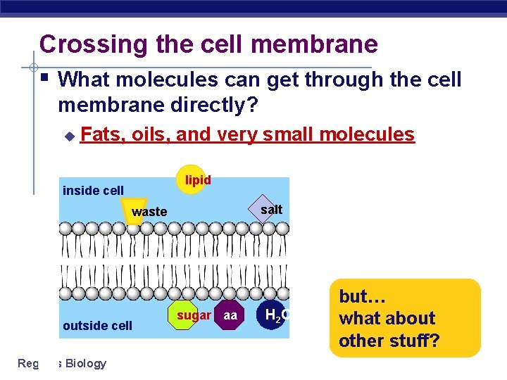 Crossing the cell membrane § What molecules can get through the cell membrane directly?