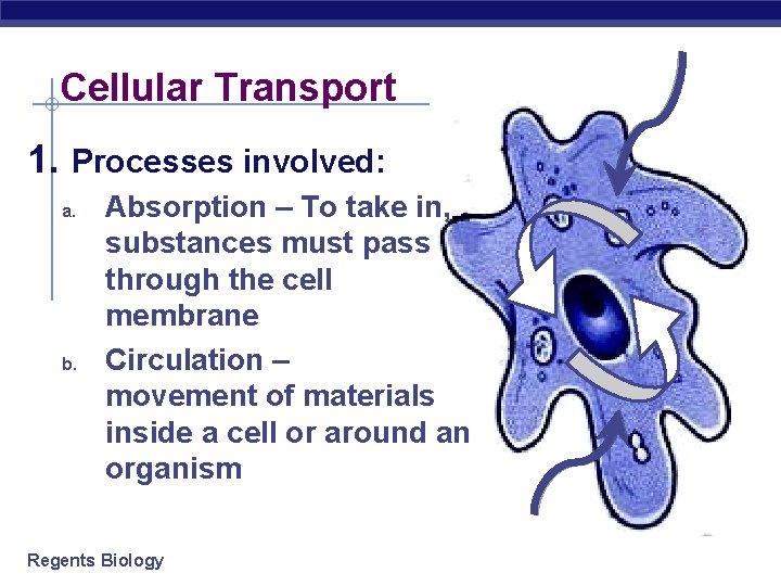 Cellular Transport 1. Processes involved: a. b. Absorption – To take in, substances must