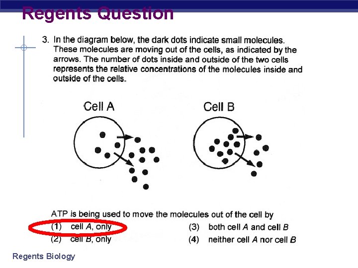 Regents Question Regents Biology 