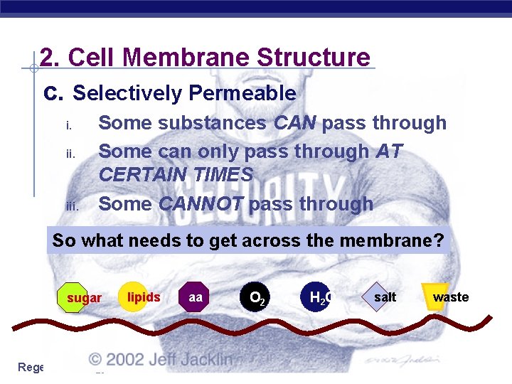 2. Cell Membrane Structure c. Selectively Permeable i. ii. iii. Some substances CAN pass