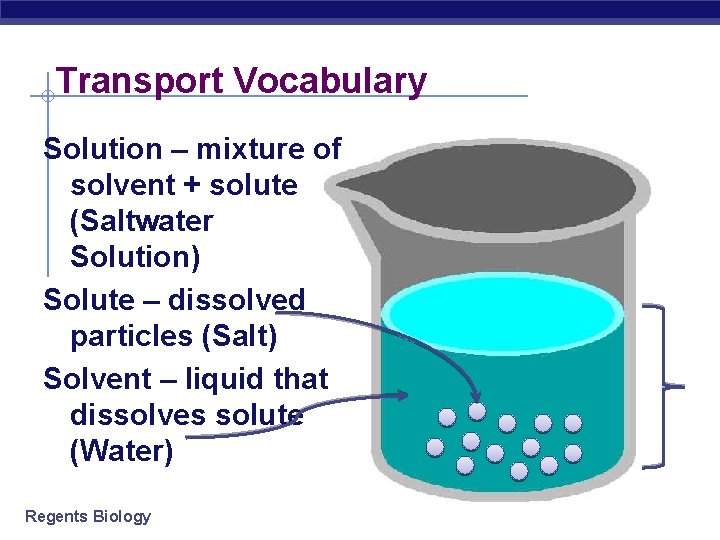 Transport Vocabulary Solution – mixture of solvent + solute (Saltwater Solution) Solute – dissolved